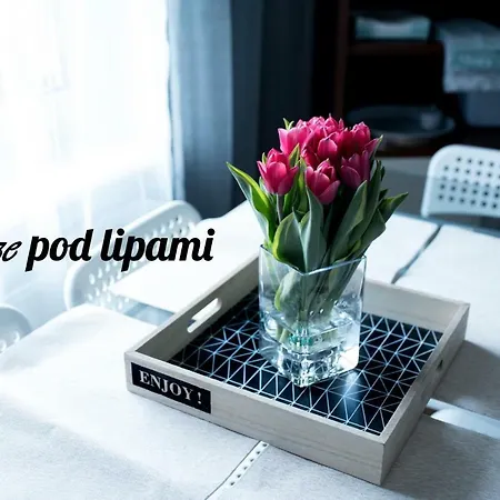 Morze Pod Lipami * Mosty (Puck)