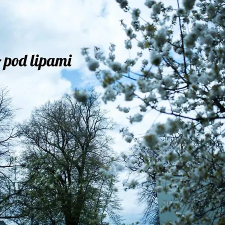 Morze Pod Lipami Apartmán *